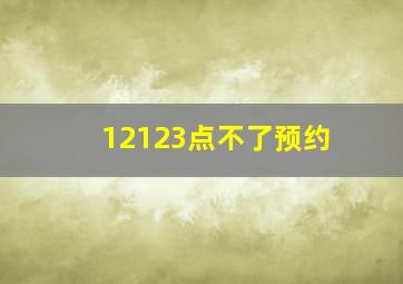 12123点不了预约