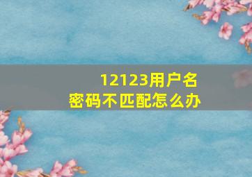 12123用户名密码不匹配怎么办