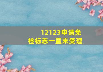 12123申请免检标志一直未受理