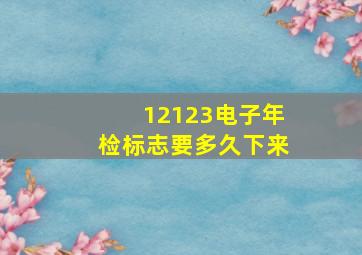 12123电子年检标志要多久下来