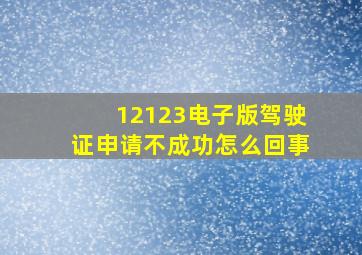 12123电子版驾驶证申请不成功怎么回事