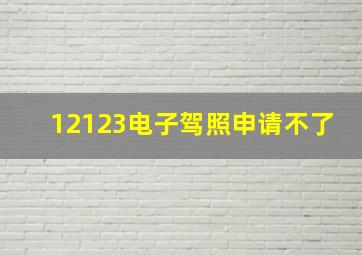 12123电子驾照申请不了