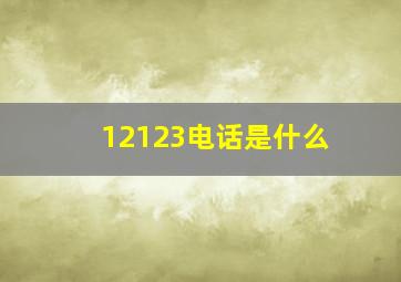 12123电话是什么