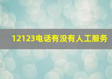 12123电话有没有人工服务