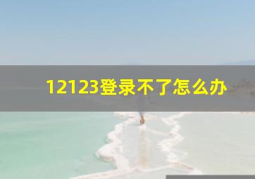 12123登录不了怎么办