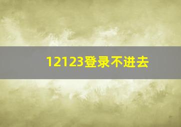 12123登录不进去