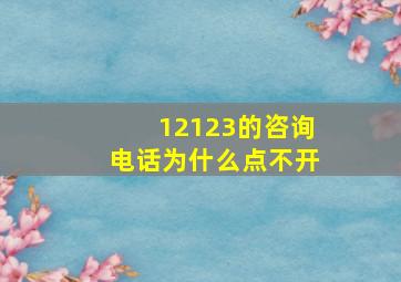 12123的咨询电话为什么点不开