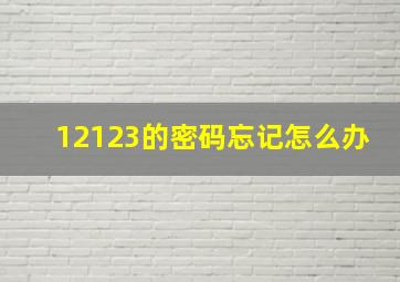 12123的密码忘记怎么办