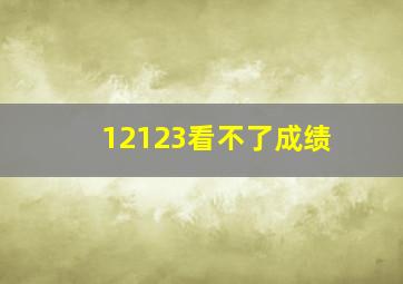 12123看不了成绩