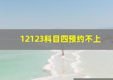 12123科目四预约不上