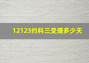 12123约科三受理多少天