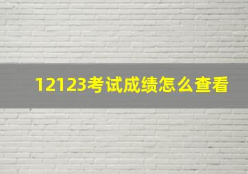 12123考试成绩怎么查看