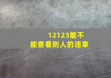 12123能不能查看别人的违章