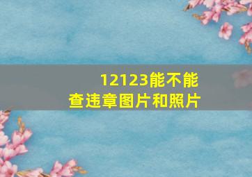 12123能不能查违章图片和照片