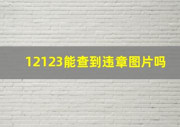 12123能查到违章图片吗