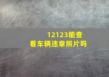 12123能查看车辆违章照片吗