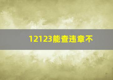 12123能查违章不