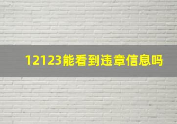 12123能看到违章信息吗