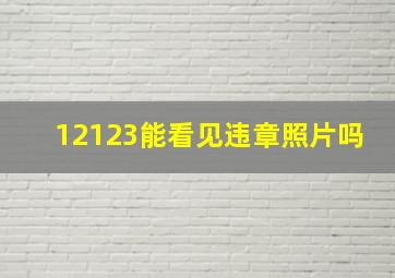 12123能看见违章照片吗