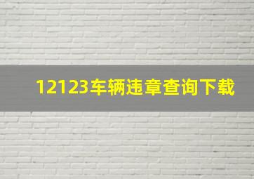 12123车辆违章查询下载