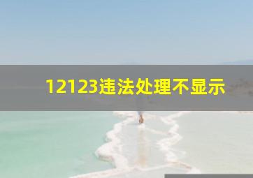 12123违法处理不显示