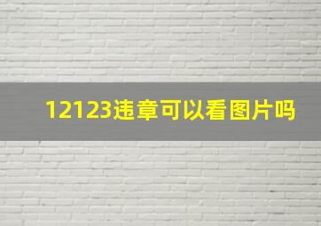 12123违章可以看图片吗