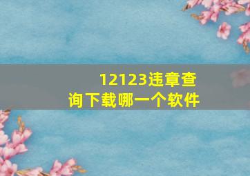 12123违章查询下载哪一个软件