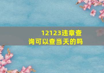 12123违章查询可以查当天的吗