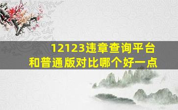 12123违章查询平台和普通版对比哪个好一点