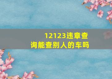 12123违章查询能查别人的车吗