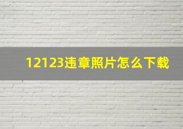 12123违章照片怎么下载