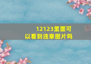 12123里面可以看到违章图片吗