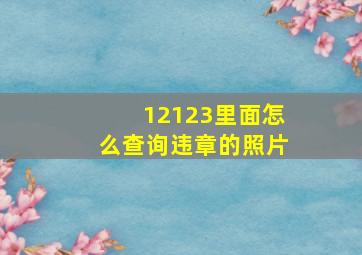 12123里面怎么查询违章的照片