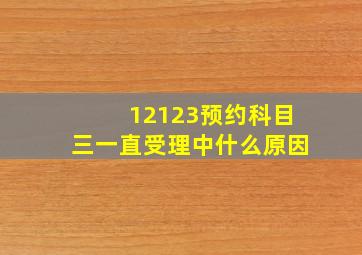 12123预约科目三一直受理中什么原因