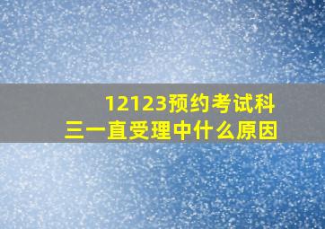 12123预约考试科三一直受理中什么原因