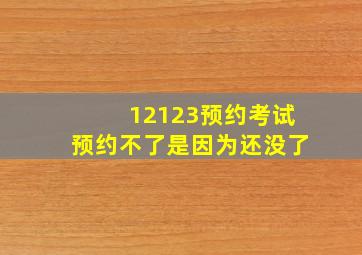 12123预约考试预约不了是因为还没了