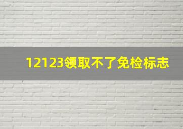 12123领取不了免检标志