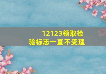 12123领取检验标志一直不受理