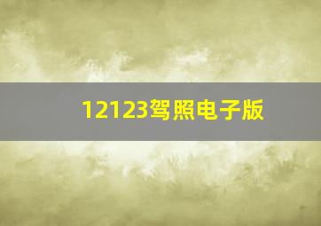 12123驾照电子版