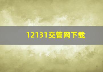 12131交管网下载