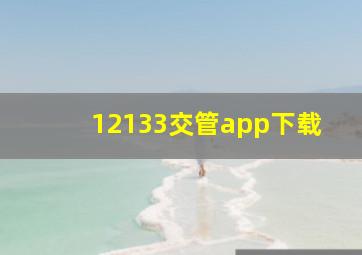 12133交管app下载