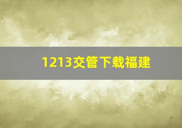 1213交管下载福建