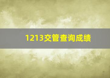 1213交管查询成绩