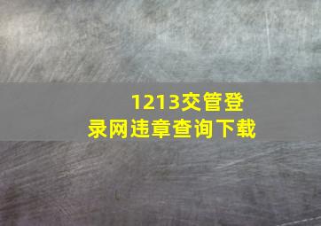 1213交管登录网违章查询下载