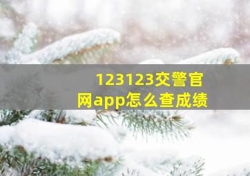 123123交警官网app怎么查成绩