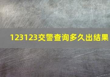 123123交警查询多久出结果