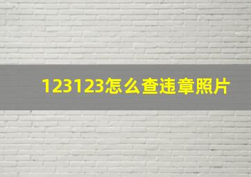 123123怎么查违章照片