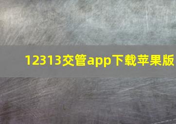 12313交管app下载苹果版