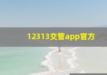 12313交管app官方