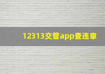 12313交管app查违章